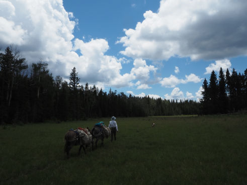 The view of the Burro Packer